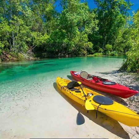 Manatee Oasis Weeki Wachee Family Fun Pool Home Спринг-Хилл Экстерьер фото