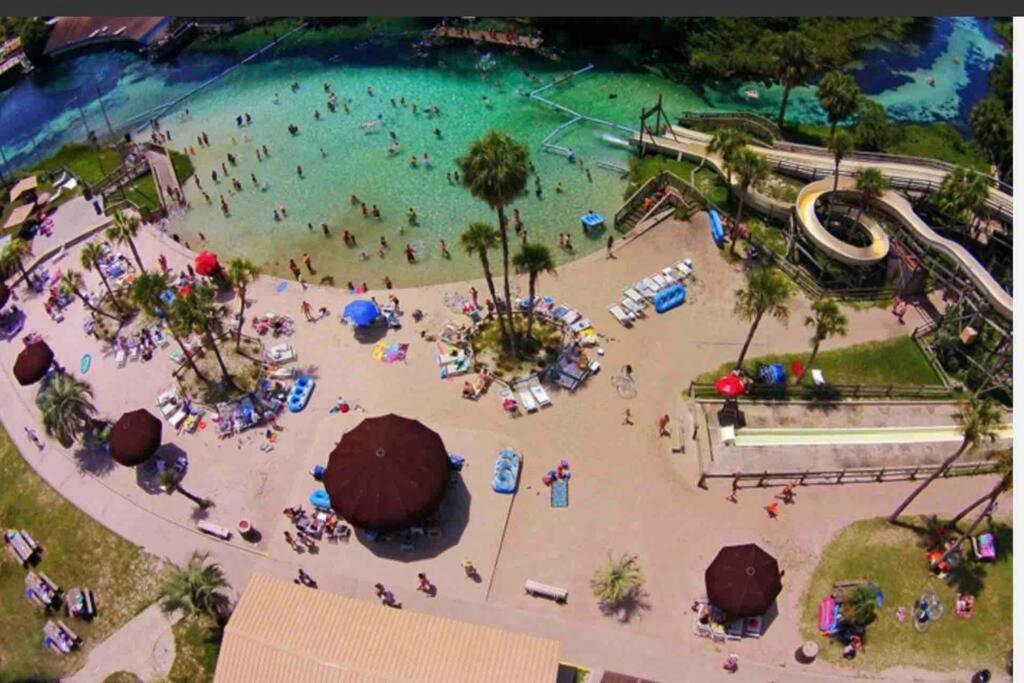 Manatee Oasis Weeki Wachee Family Fun Pool Home Спринг-Хилл Экстерьер фото