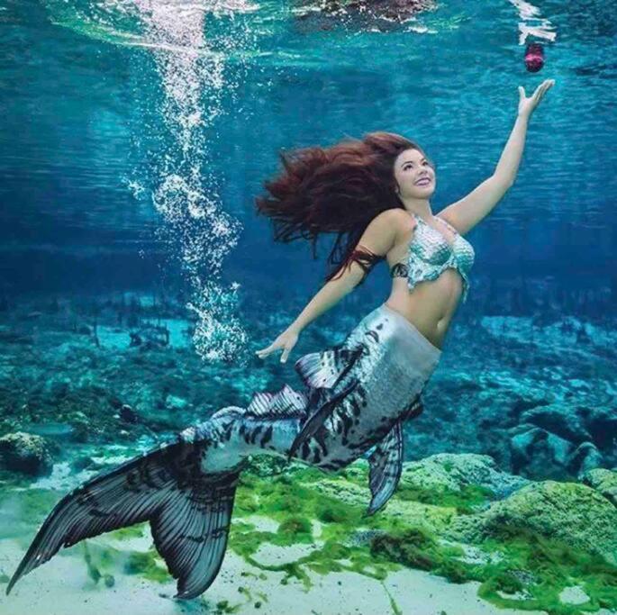 Manatee Oasis Weeki Wachee Family Fun Pool Home Спринг-Хилл Экстерьер фото