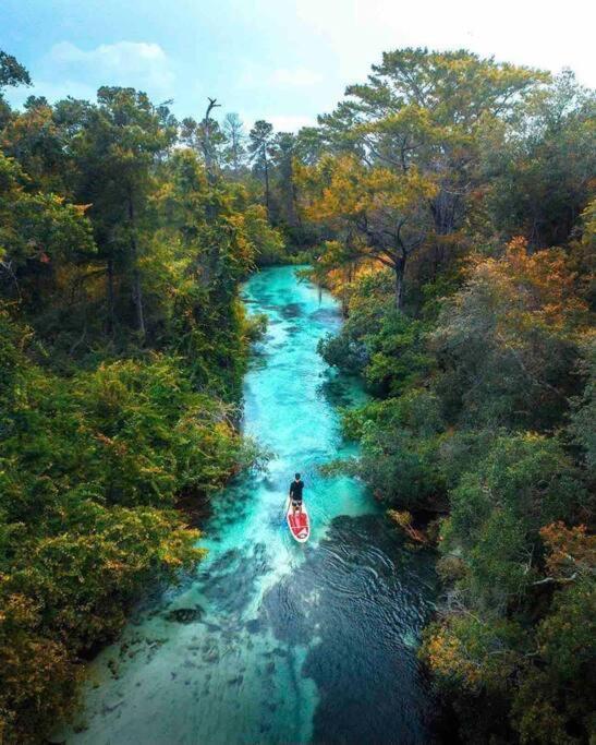 Manatee Oasis Weeki Wachee Family Fun Pool Home Спринг-Хилл Экстерьер фото