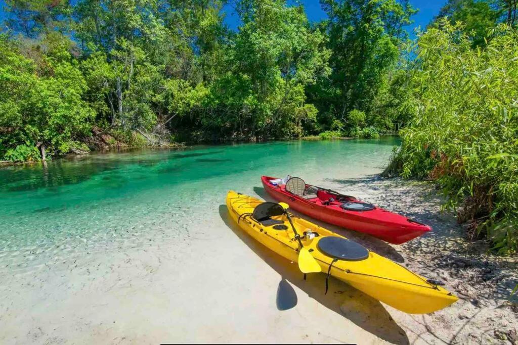 Manatee Oasis Weeki Wachee Family Fun Pool Home Спринг-Хилл Экстерьер фото